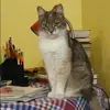 Отзыв от Ульяна Елизарова
